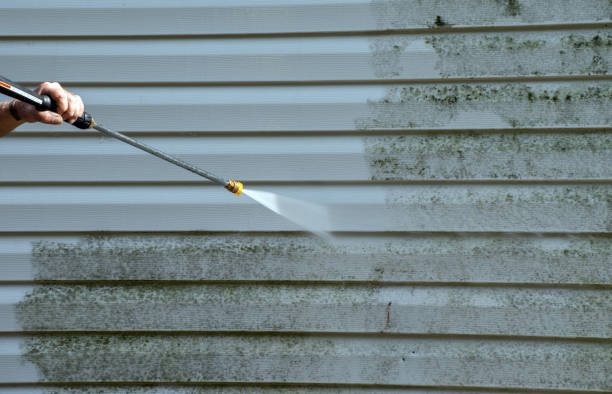 Best Mold Remediation Experts  in Warner, OK