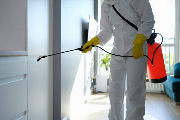 Office Mold Removal Services in Warner, OK