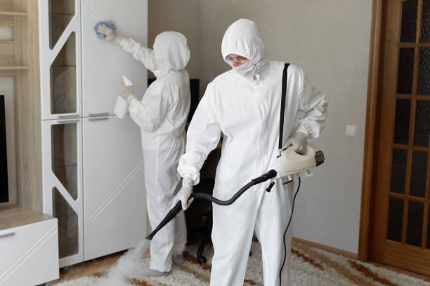 Best Professional Mold Removal  in Warner, OK