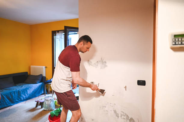Best Toxic Mold Removal  in Warner, OK